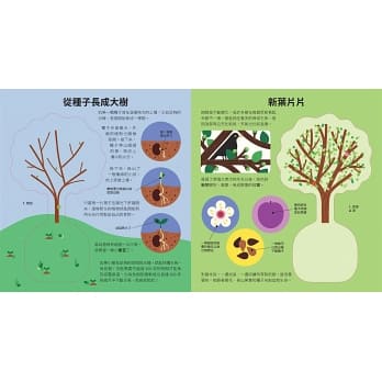 樹的透視書